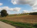 Herfstrit-Follow the Leader op 7-10-2012 (52)